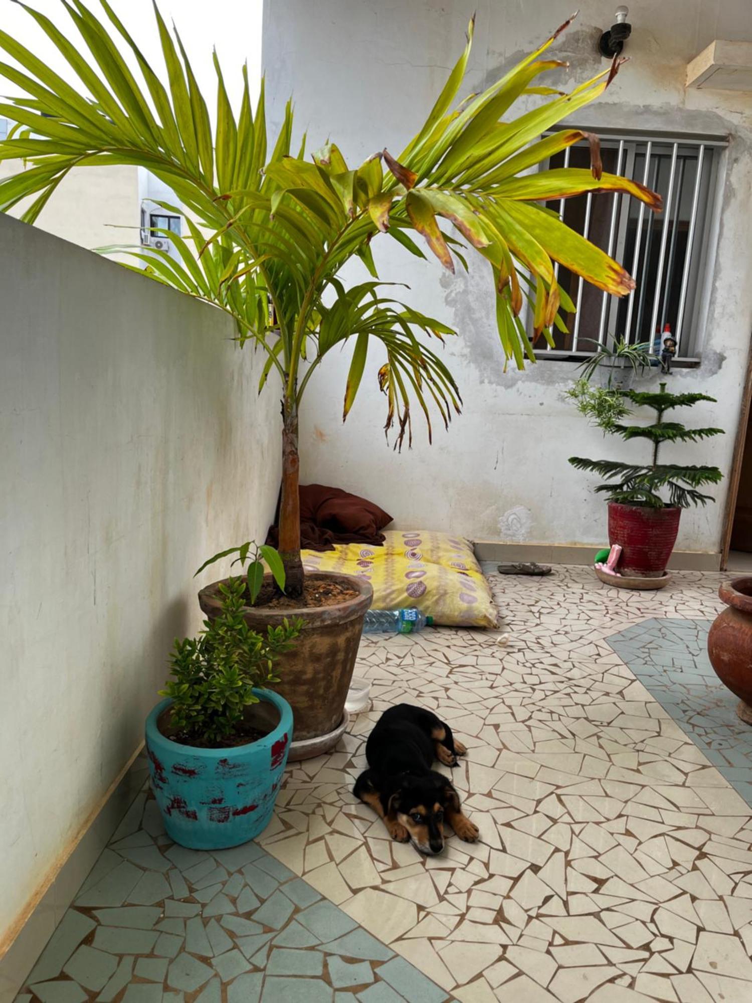 Like At Home Dakar Zewnętrze zdjęcie